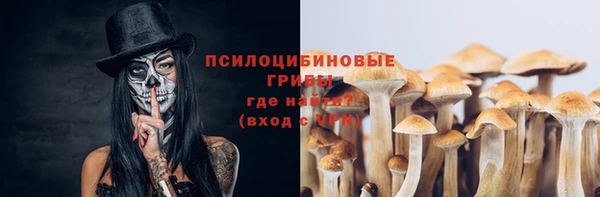 кокаин перу Богданович
